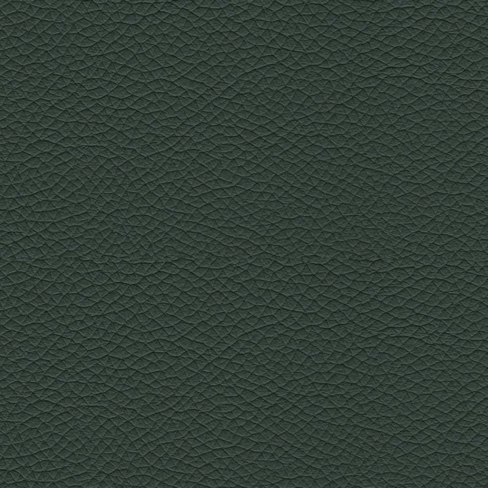 Scaun de Sufragerie cu Scaun Imbracat in Piele Made in Italy - Giulia Viadurini