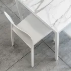 Set de 4 scaune pentru exterior și interior din polipropilenă de diferite culori - Construit Viadurini