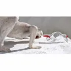 Ornament în formă de taur în sticlă roșie și transparentă Fabricat în Italia - Torero Viadurini