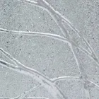 Oglindă de perete dreptunghiulară din lemn de brad din Italia Achille Viadurini