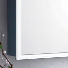 oglinda de perete 2 usi moderne de containere, de iluminat cu LED-uri, Adele Viadurini