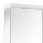 Oglindă modernă pentru containere cu 2 uși din aluminiu vopsit în argint - Alfio Viadurini