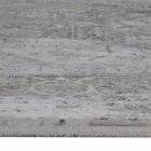 Covor designer în vâscoză și gri gri acrilic cu design - președinte Viadurini