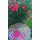 Măsuță de cafea interioară sau exterioară cu structură metalică Made in Italy - Carim Viadurini