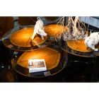 Măsuță de cafea din lemn și oțel cu picioare metalice Made in Italy - Damasc Viadurini