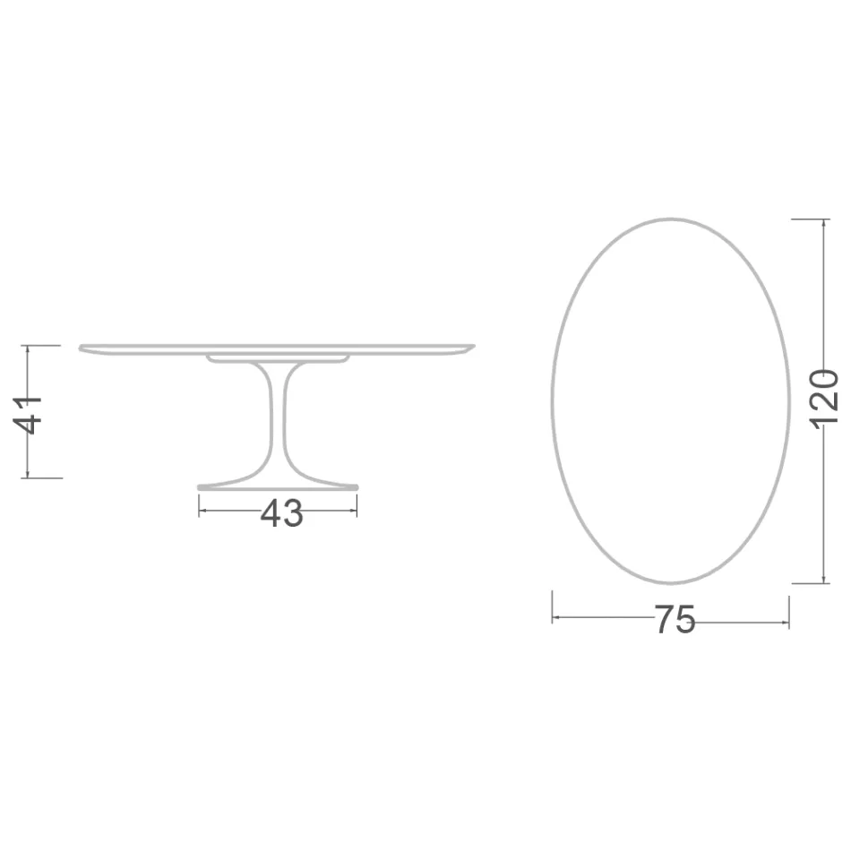 Masuta de cafea Tulip Eero Saarinen H 41 Ovala cu Blat din Marmura Caracatta Gold Viadurini