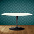 Masă de cafea Saarinen Tulip, ovală, H 41 cm, ceramică Moonè, fabricată în Italia - Scarlet