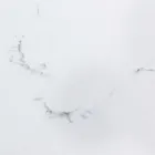 Masa de sufragerie extensibila 240 cm Blat din sticla si ceramica - Barone Viadurini