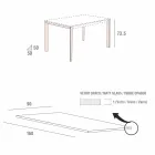 Masă de bucătărie din sticlă mată cu structură metalică Made in Italy - Broșă Viadurini