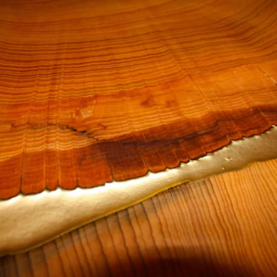 tabelul de proiectare fixe de lemn dreptunghiular si rasina made in Italy Jam Viadurini