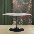 Masă Eero Saarinen Tulip H 73 cu blat oval din marmură Arabescato Made in Italy - Scarlet Viadurini