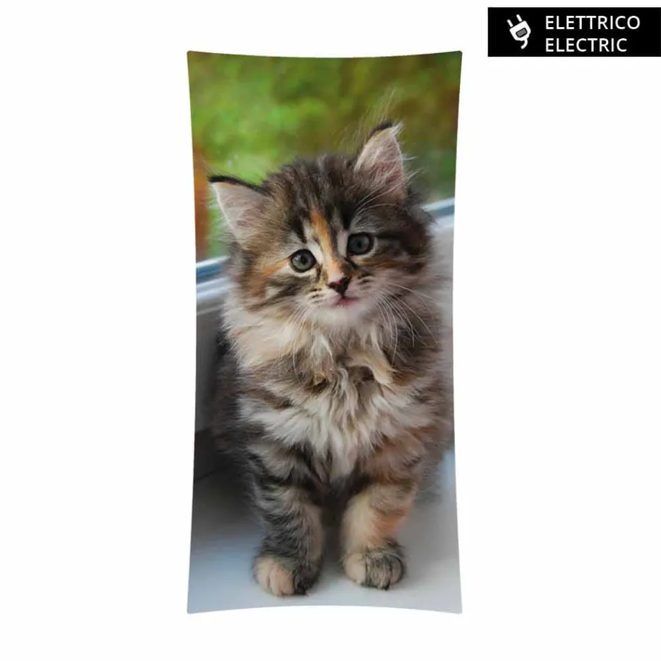 radiator electric cu un design de sticla fotografii Barry călită Viadurini