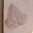 Toscot Vivaldi lampă de teracotă realizată în Italia Viadurini