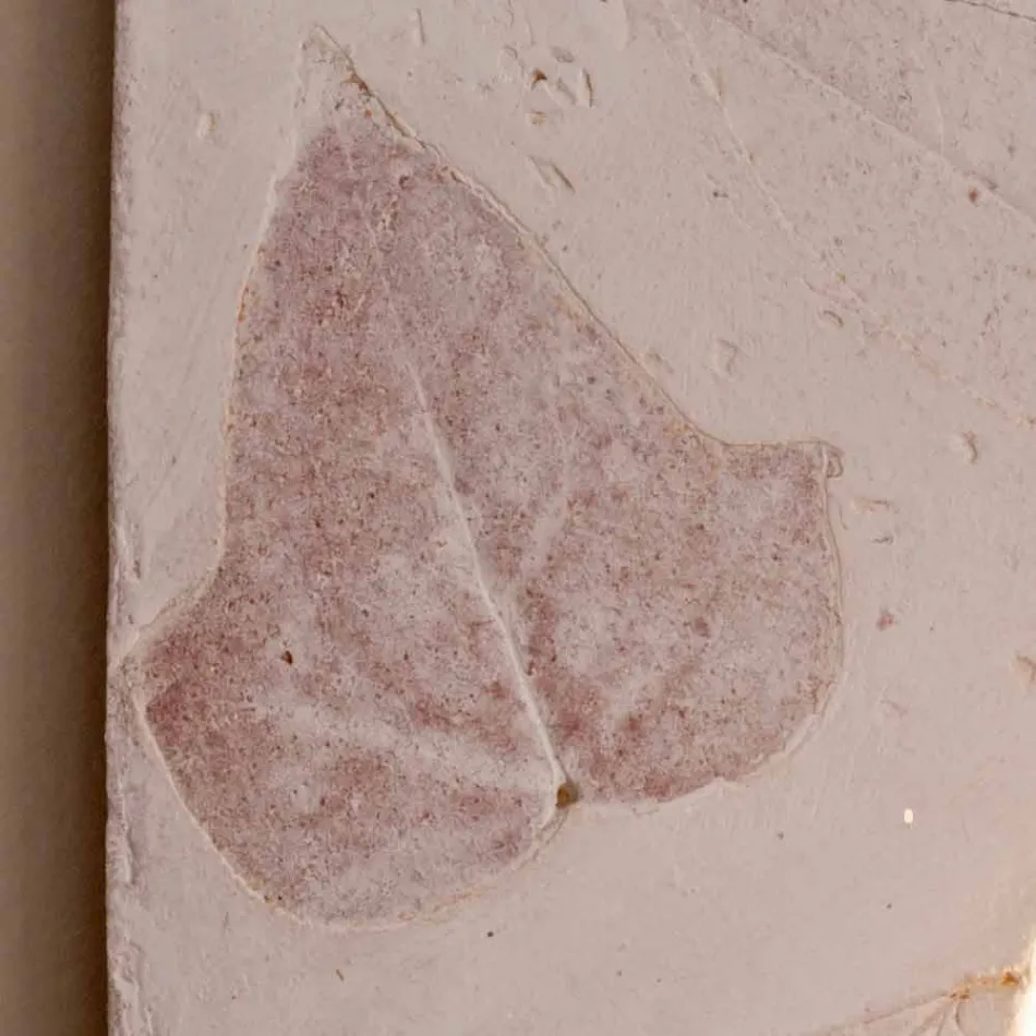 Toscot Vivaldi lampă de teracotă realizată în Italia Viadurini