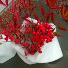 Vază de design decorativ în marmură Bardiglio sau Carrara Fabricată în Italia - Prisma Viadurini