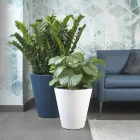 Vaza decorativa rotunda din polietilena colorata Made in Italy - Mengo Viadurini