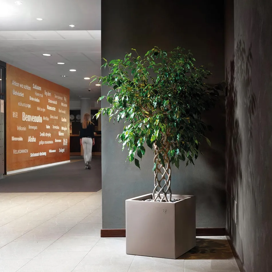 Vaza in Polietilena Colorata Forma Cubica Fabricata in Italia - Tonello Viadurini