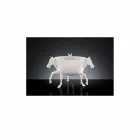 Vaza ornamentală de interior din ceramică albă sau aur de 24k Made in Italy - Jacky Viadurini