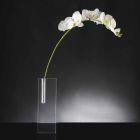 Vaza modernă transparentă din plexiglas, fabricată în Italia - unică Viadurini