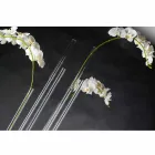 Vază de interior din plexiglas transparent, fabricată în Italia - Fortunato Viadurini